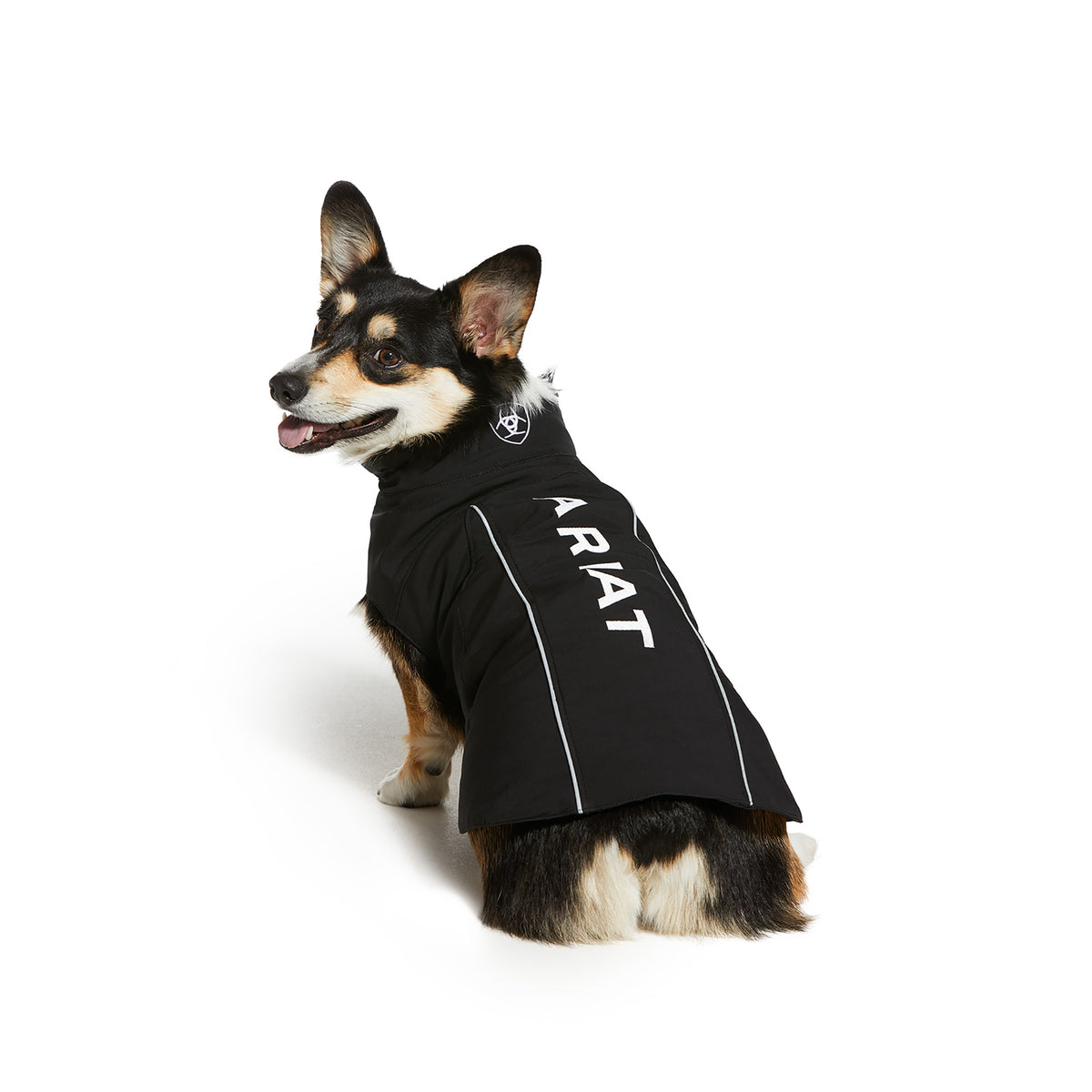 Ariat Team Dog Softshell Jacket