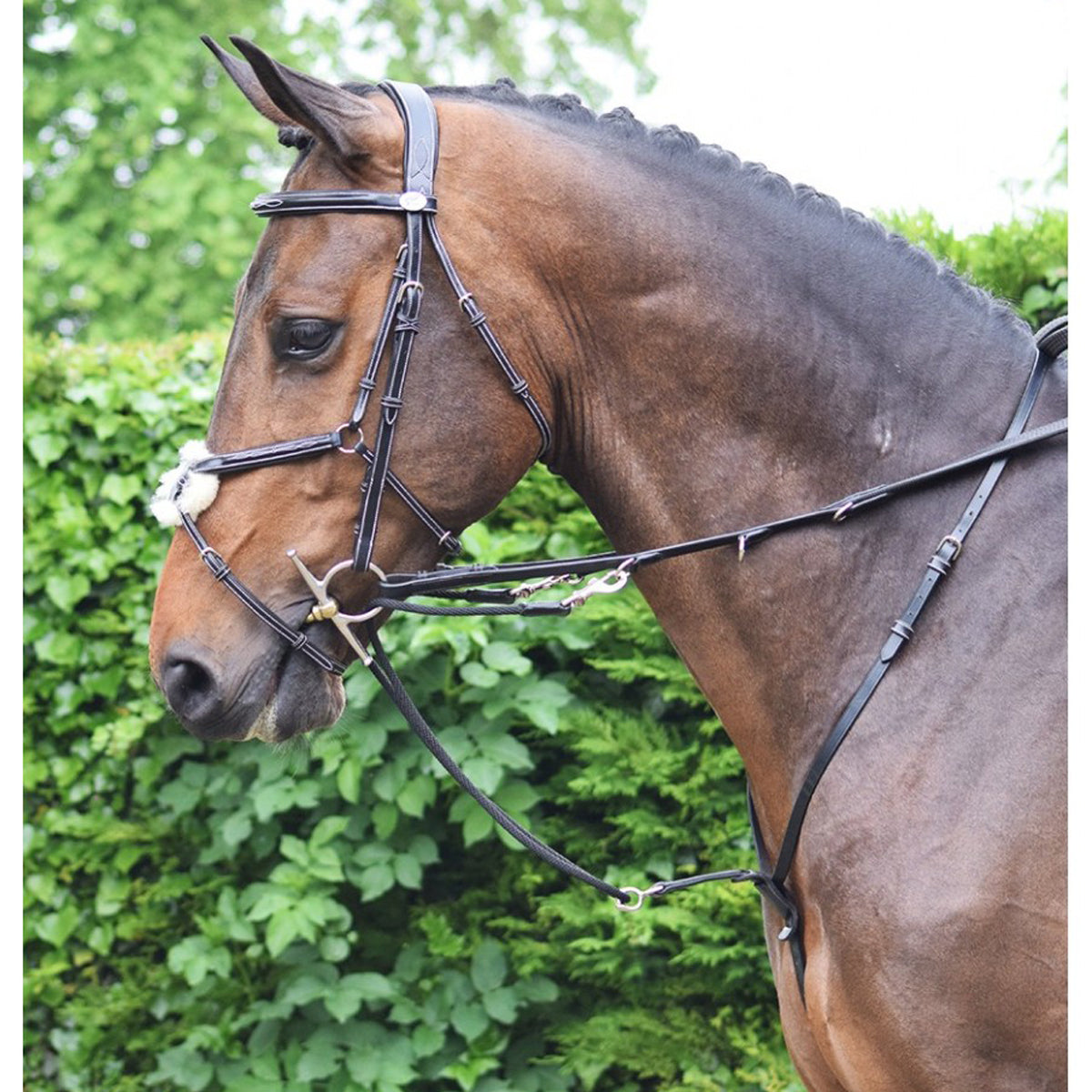 Jump'in Howlett Training Aid - Week Collection