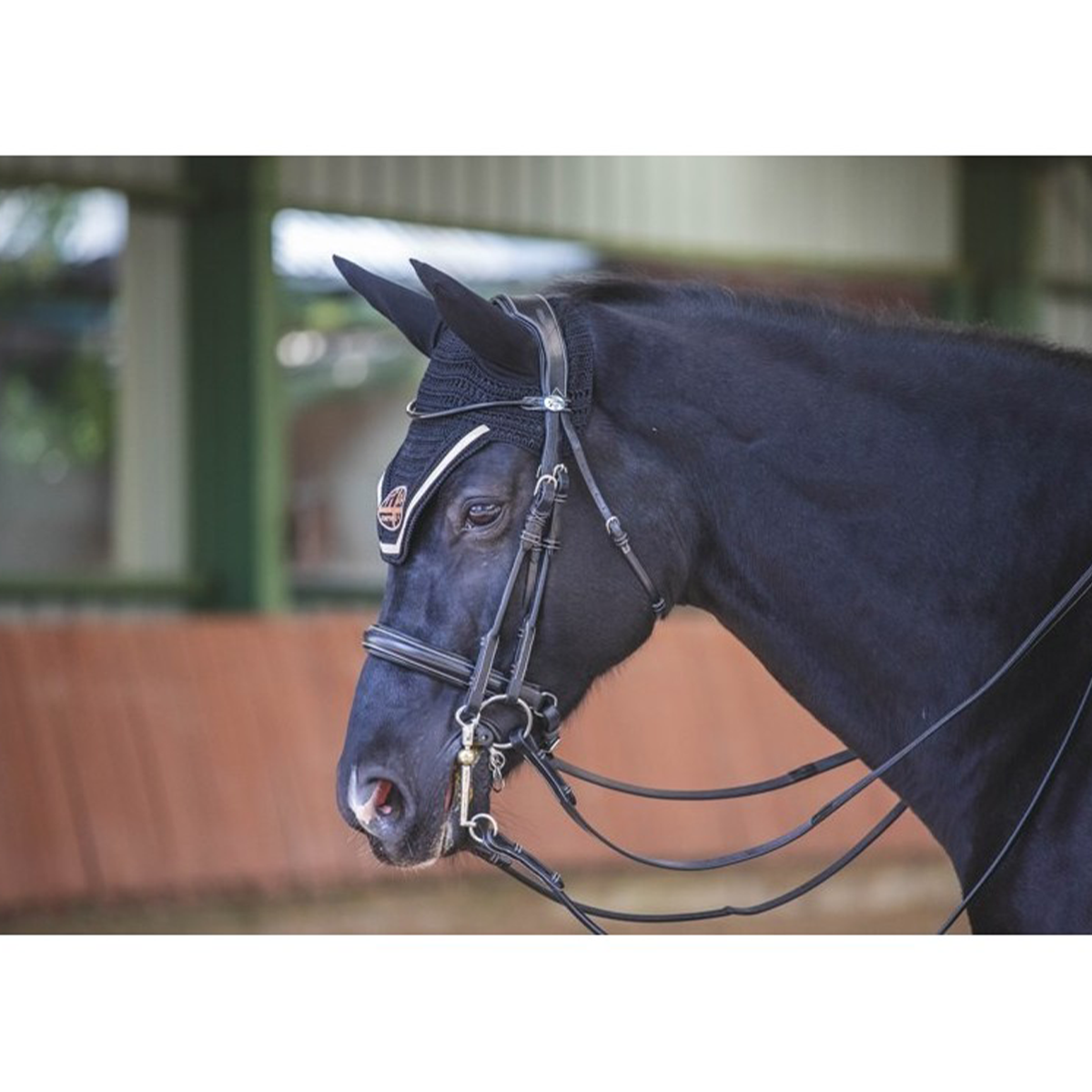 Jump'in Patent Double Bridle - Week Collection