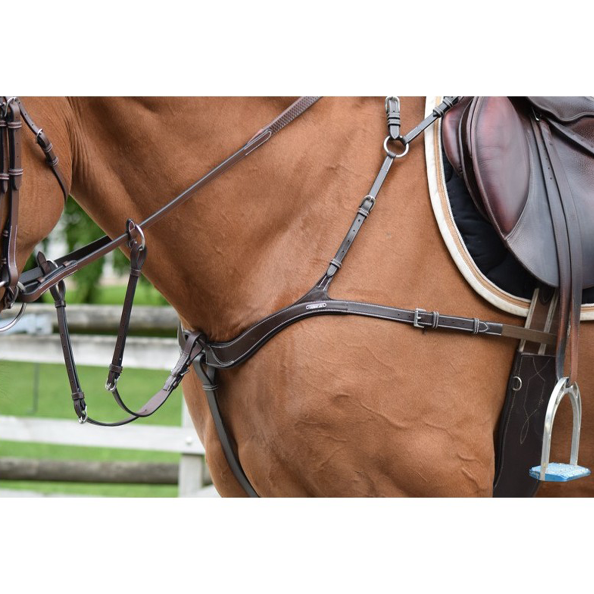 Breastplate / martingale en cuir haut de gamme anglais Breastplate / martingale en cuir haut de gamme anglais