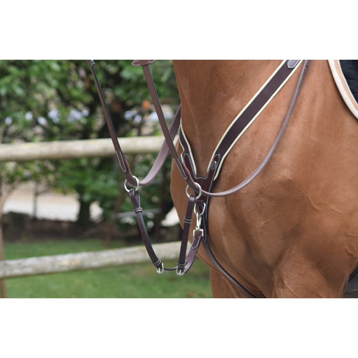Jump'in Elastic Breastplate - One Collection