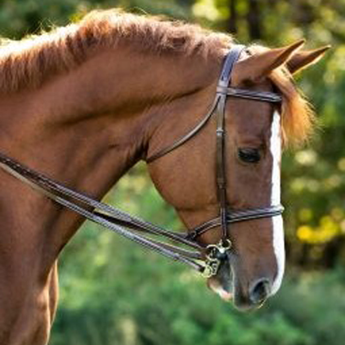 KL Red Barn Fancy Stitch Plain Reins 1/2"