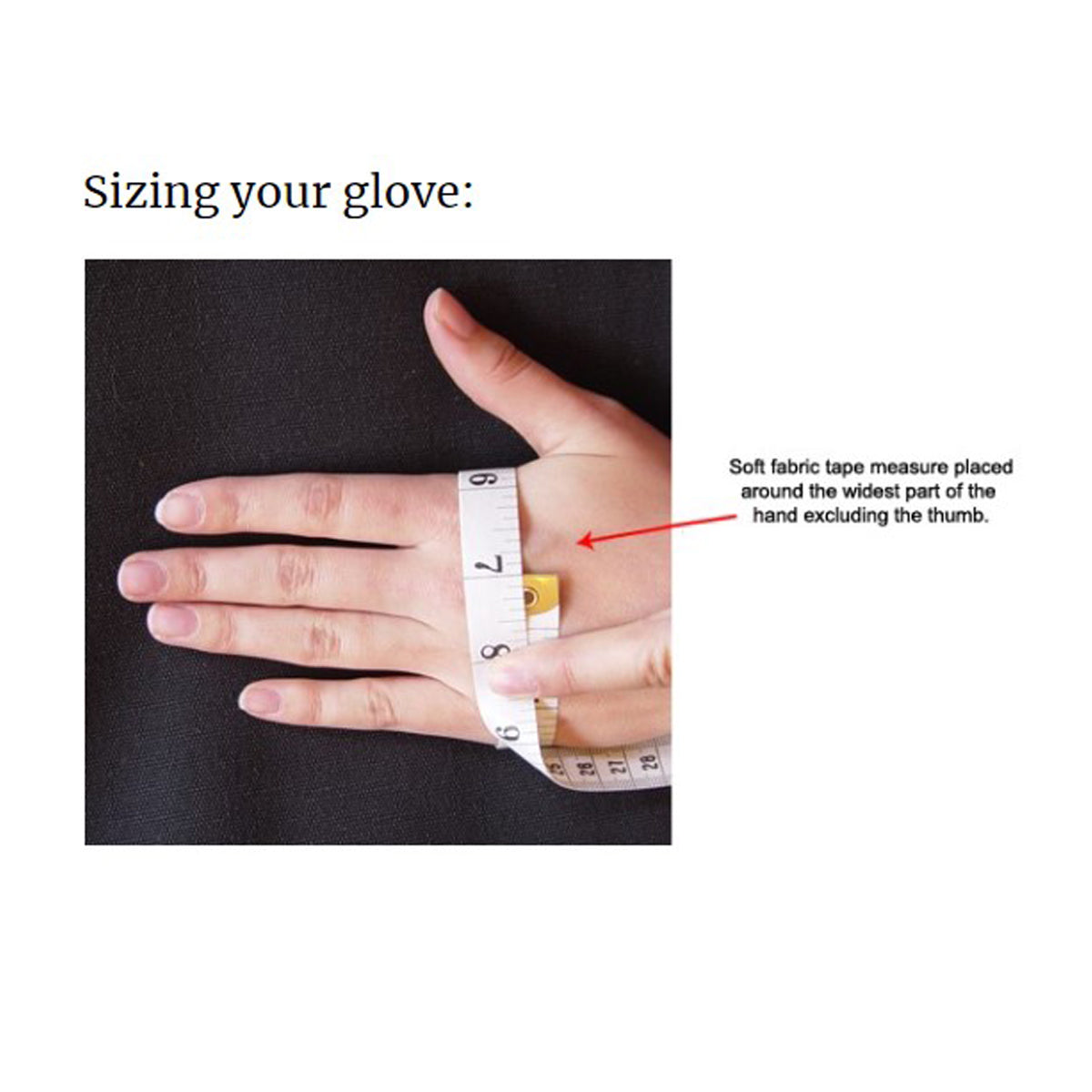 Kunkle Equestrian Premium Gloves