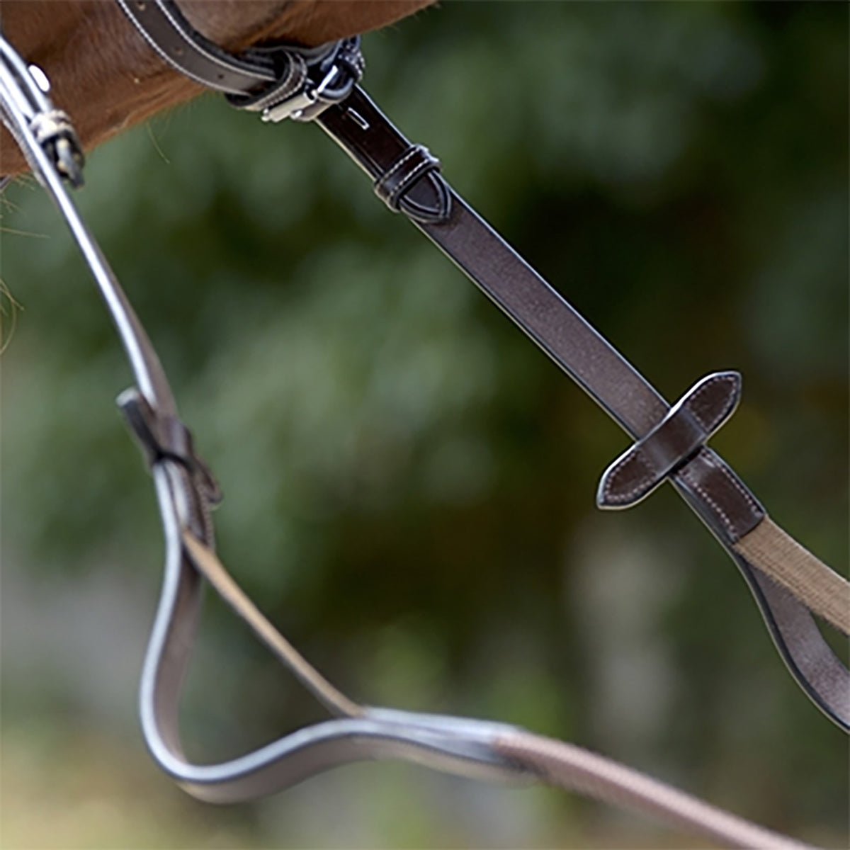 Penelope Elastic Reins