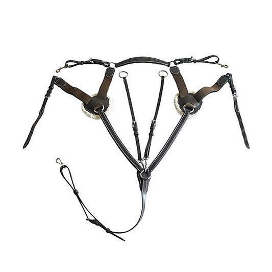 Royal Highness 5 Point Breastplate