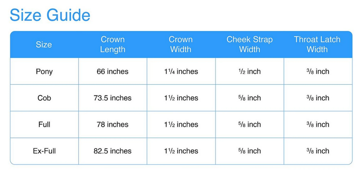 Avignon Wellington Bridle