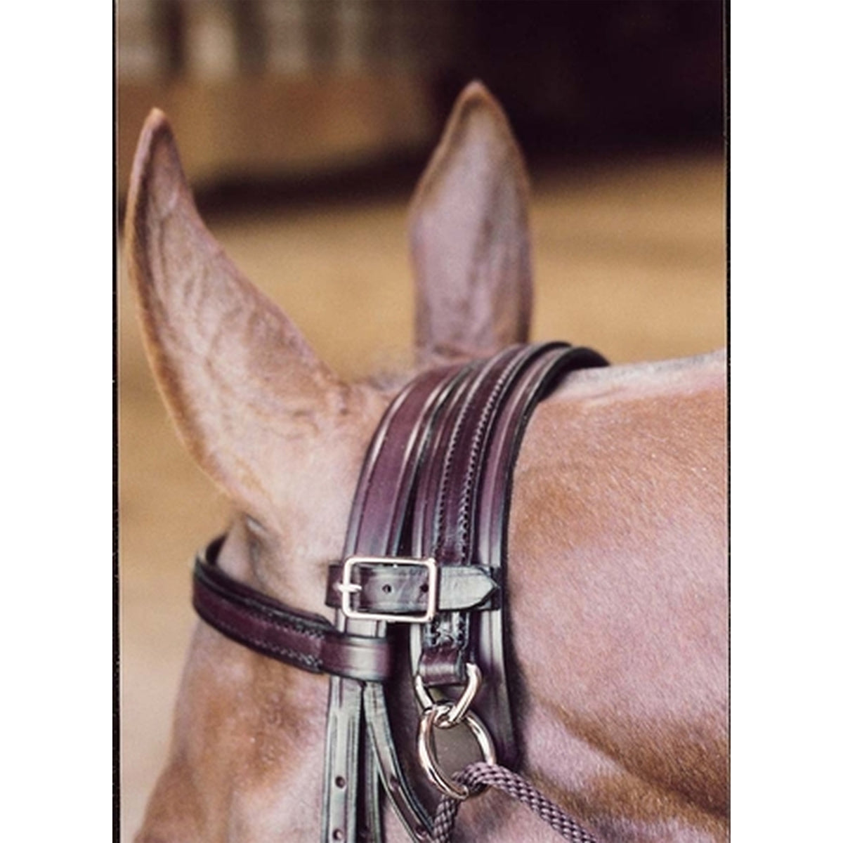 Tory Leather Chambon