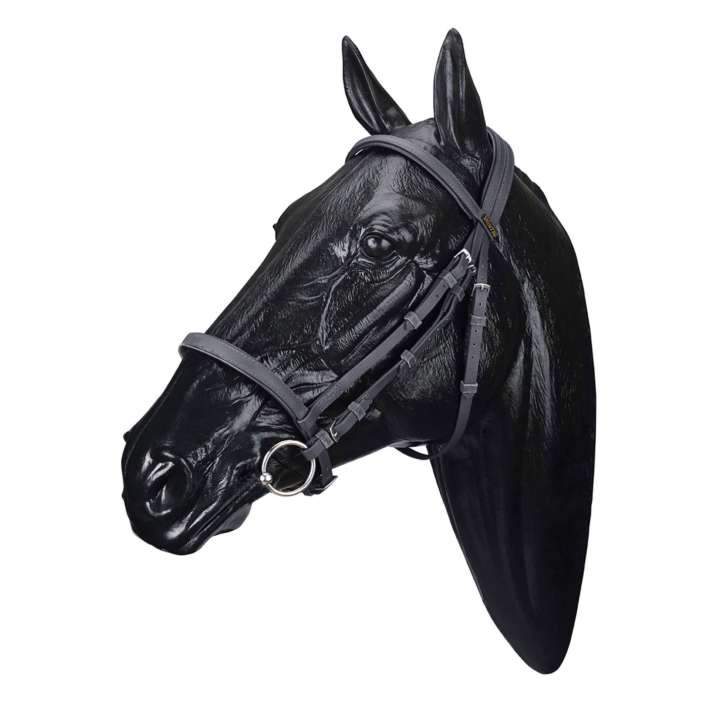Wintec English Bridle