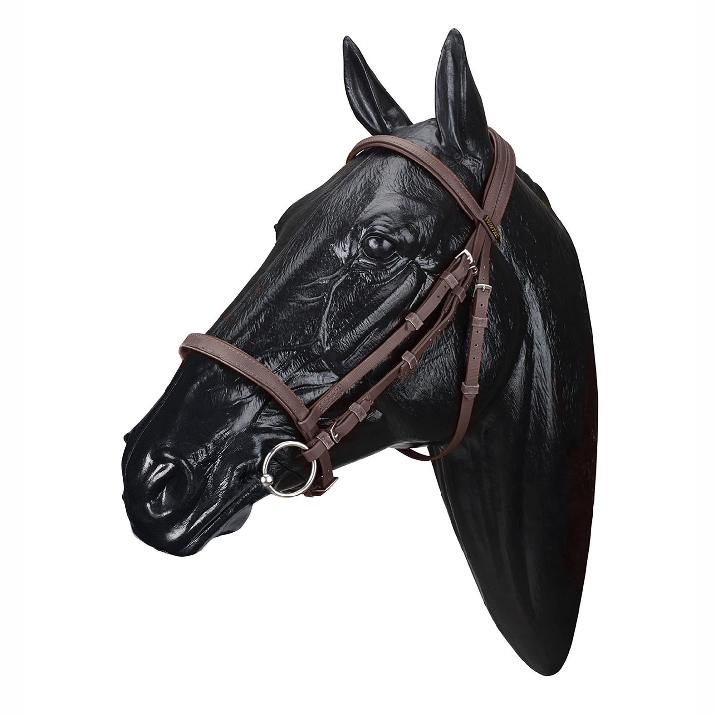 Wintec English Bridle