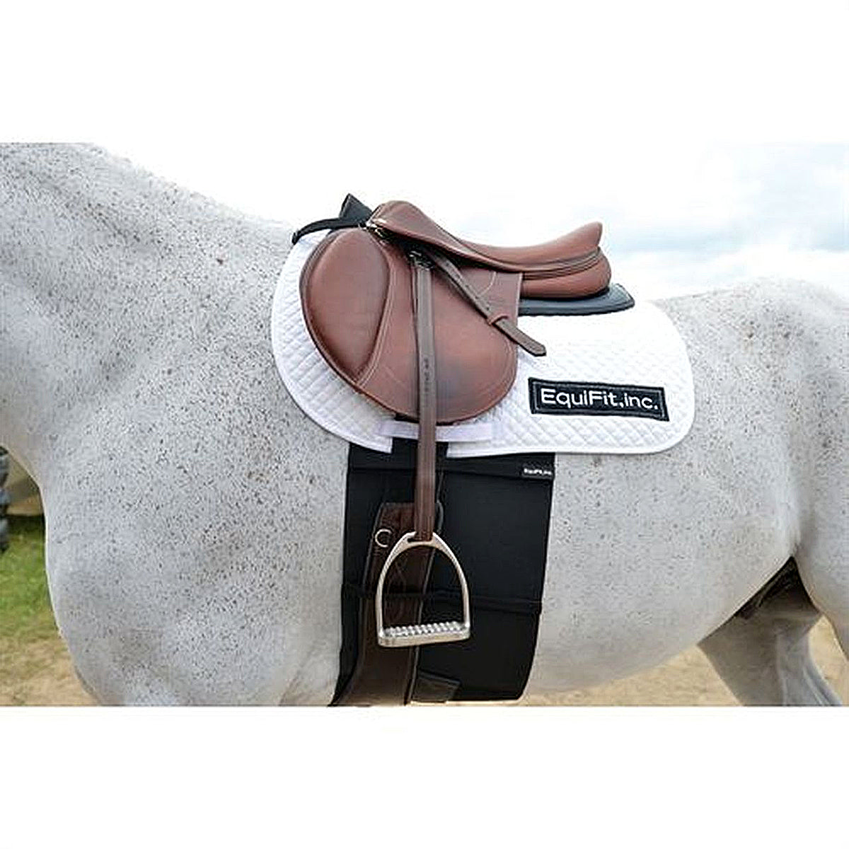 Equifit BellyBand