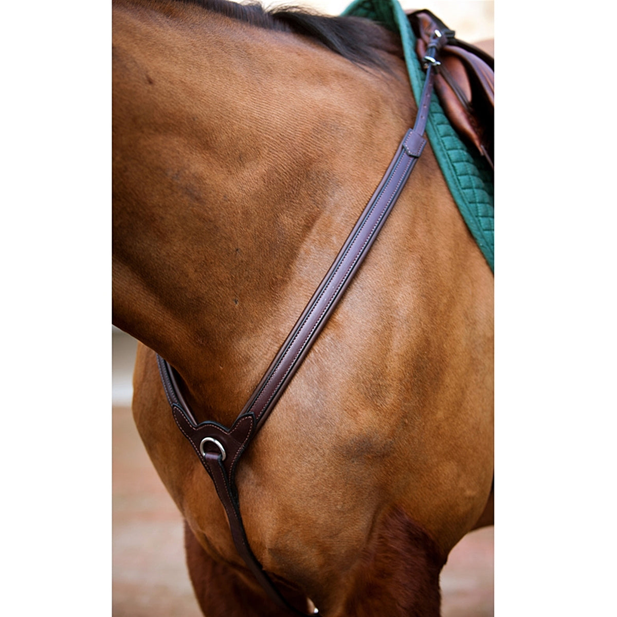 Nunn Finer Upperville Breastplate