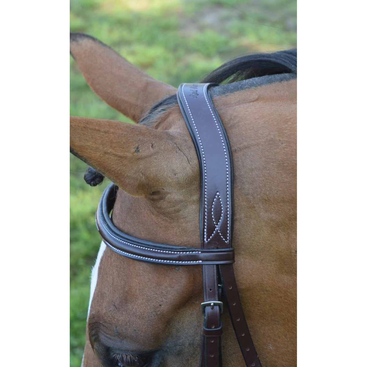 KL Select Italia Tuscany Hunter Bridle