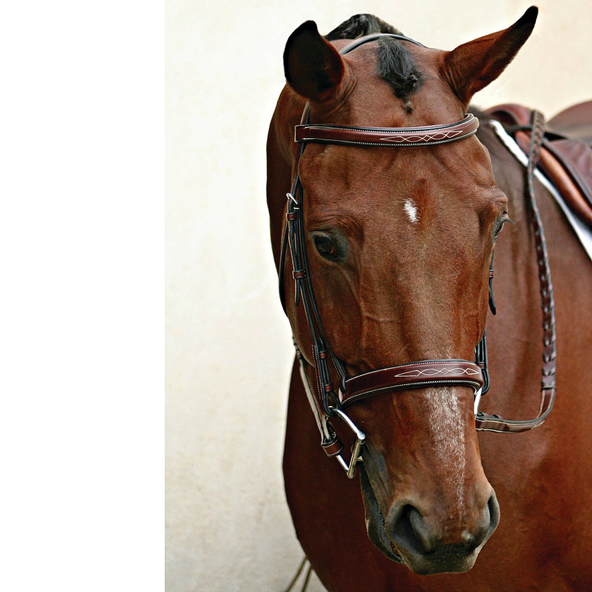 Nunn Finer Caterina Hunter Bridle