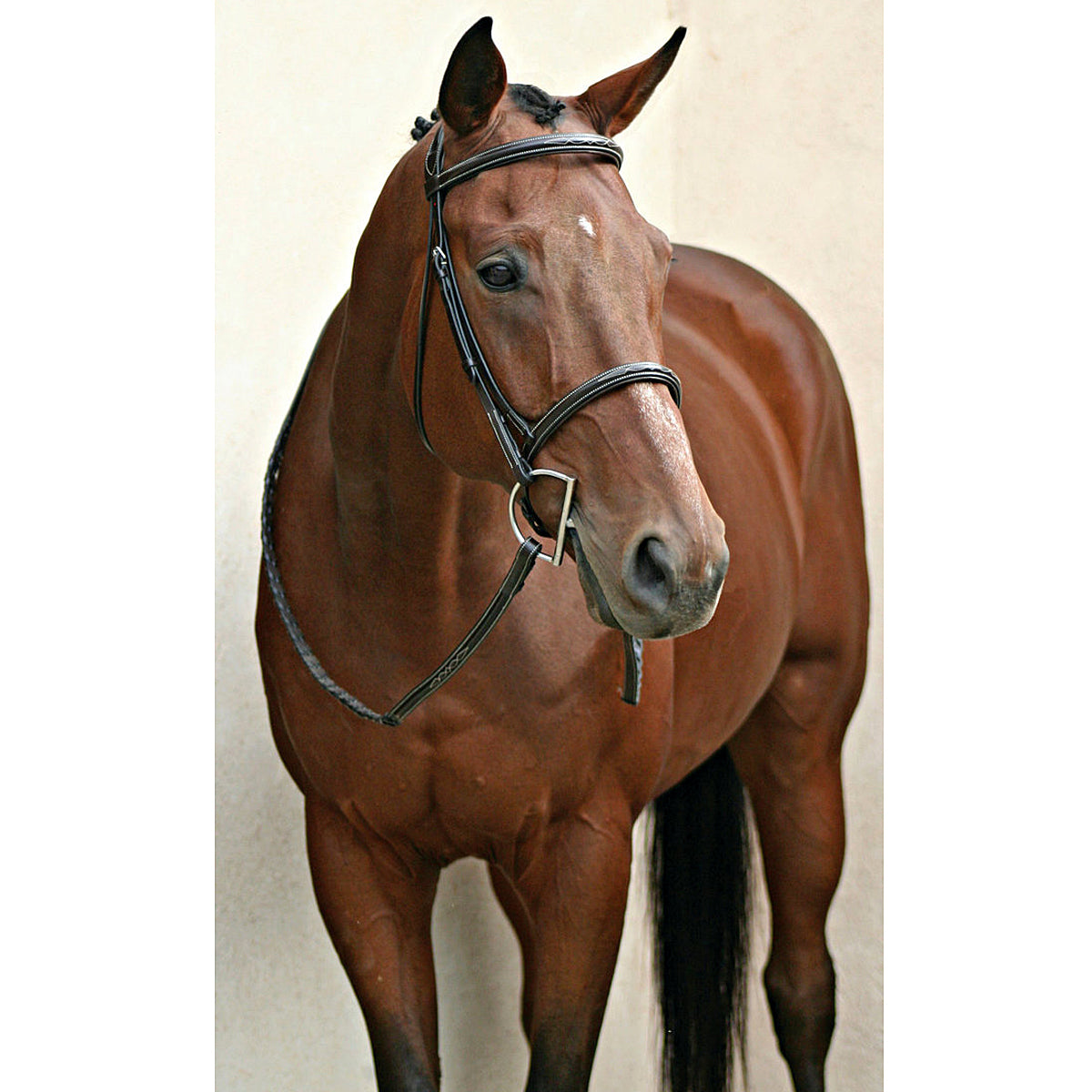 Nunn Finer Elena Hunter Bridle