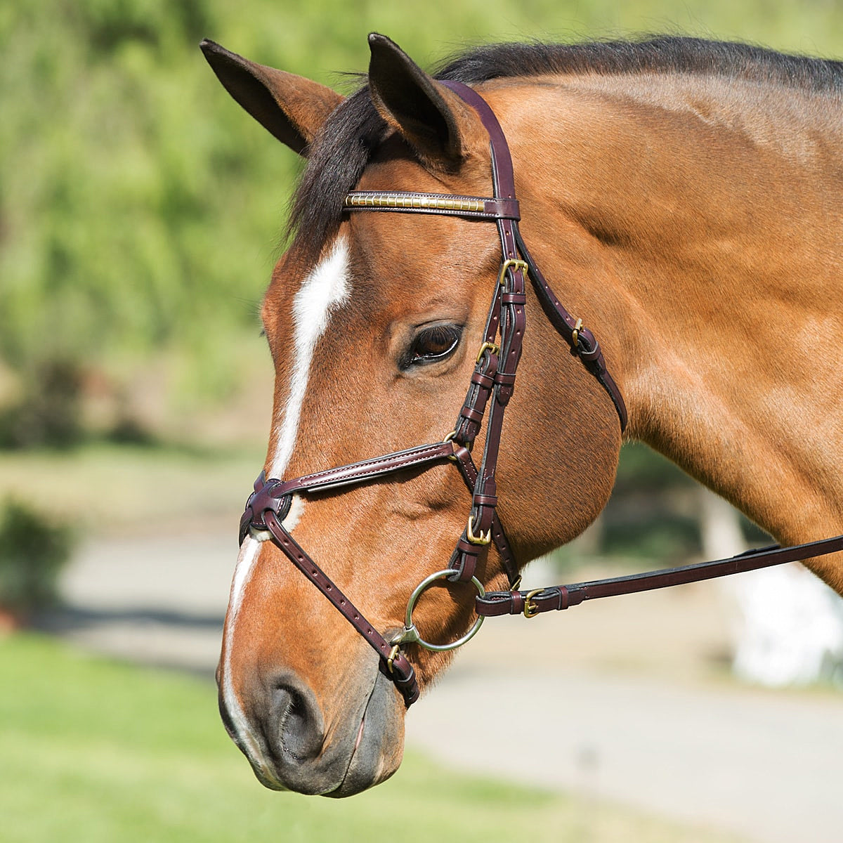 Nunn Finer Padded Figure 8 Noseband with Interchangeable Button Pieces