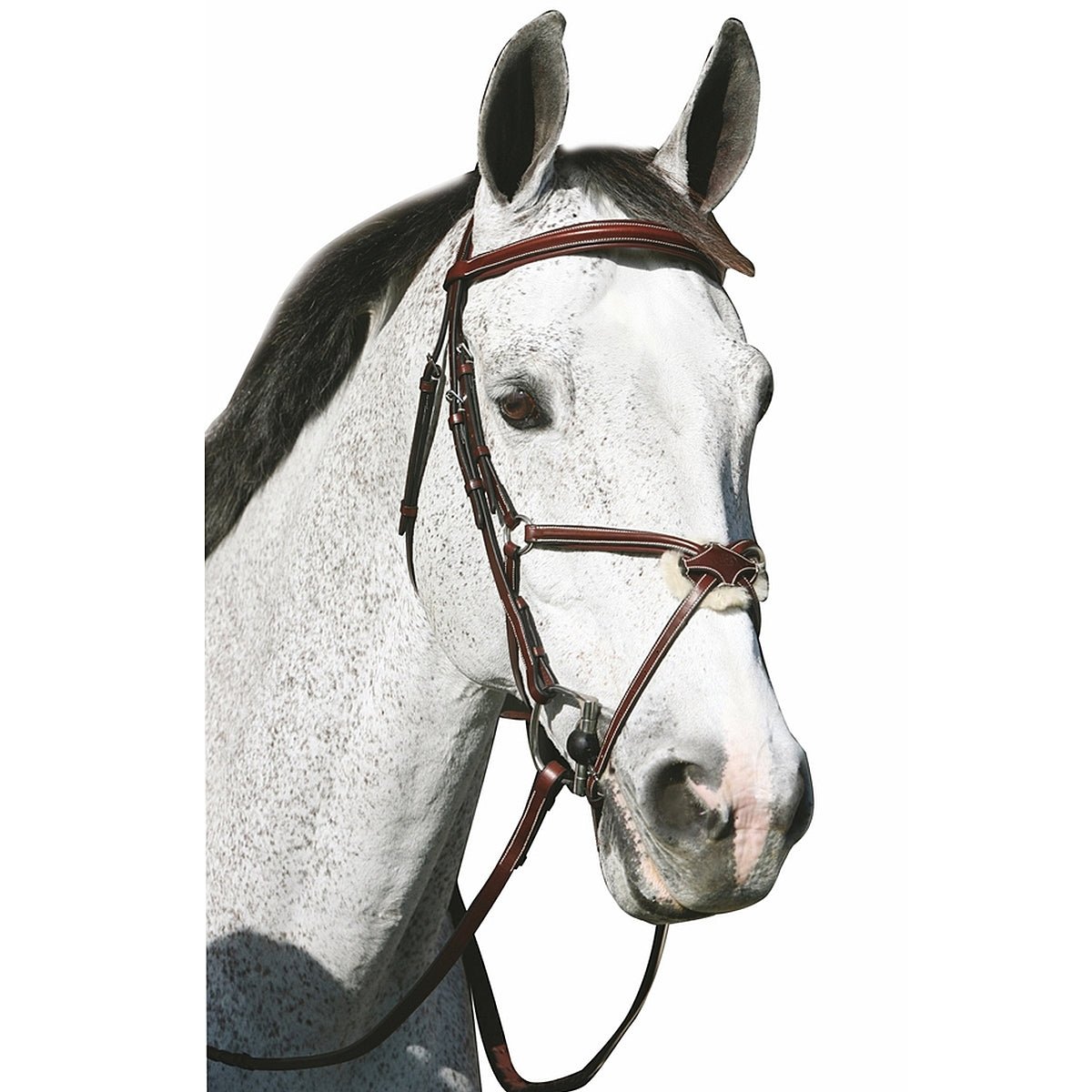 Daslo Bridle-Halter Pvc With Rubber Reins - Lovasfelszerelés Daslo Bridle-Halter Pvc With Rubber Reins - Lovasfelszerelés