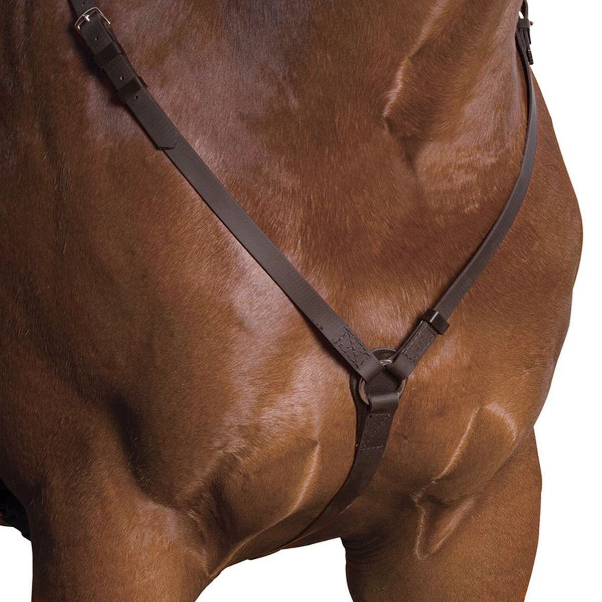 Wintec Breastplate