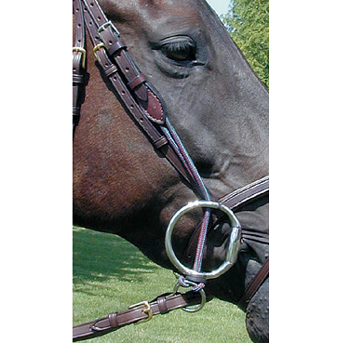 Nunn Finer Leather Gag Cheeks