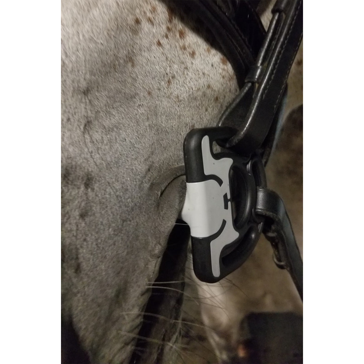 Acavallo Sensitive Bit