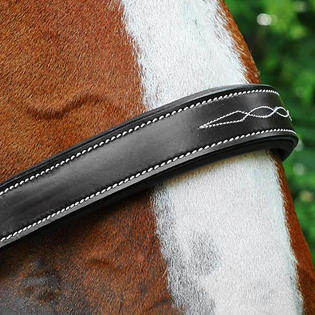 Black Oak by KL Select Willow Halter