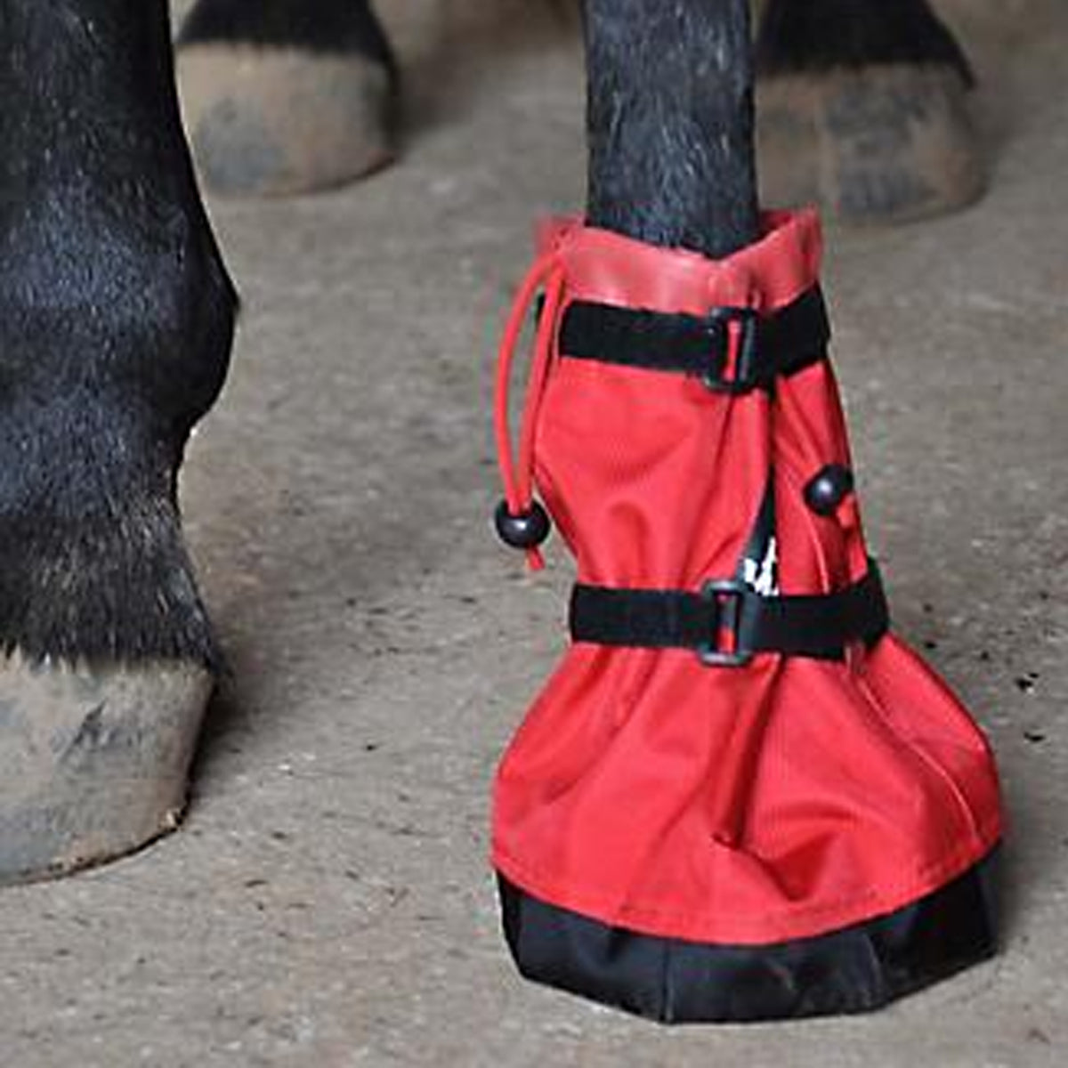 Hoof Wraps Soaker