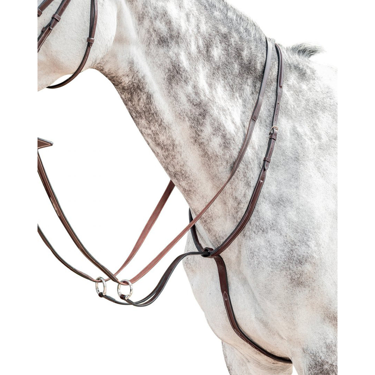 Achat Collier Chasse Élastique et Martingale Noir Jump'In Taille Cob Taille Cob Achat Collier Chasse Élastique et Martingale Noir Jump'In Taille Cob Taille Cob