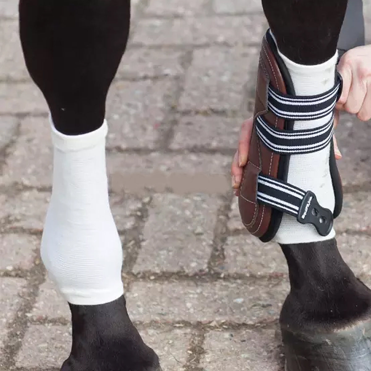 EquiFit Horsesox