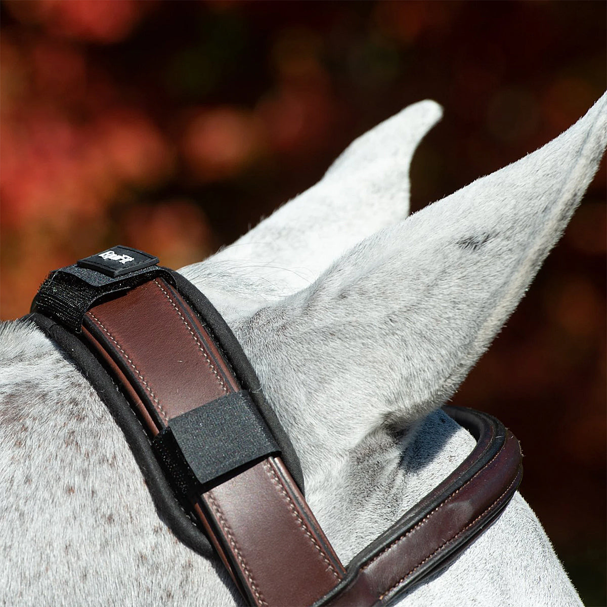 EquiFit ImpacTeq CrownPad