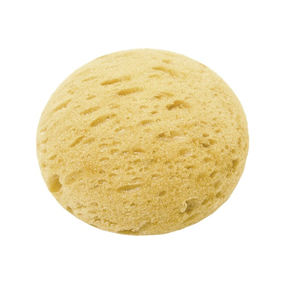 Synthetic Tack Sponge