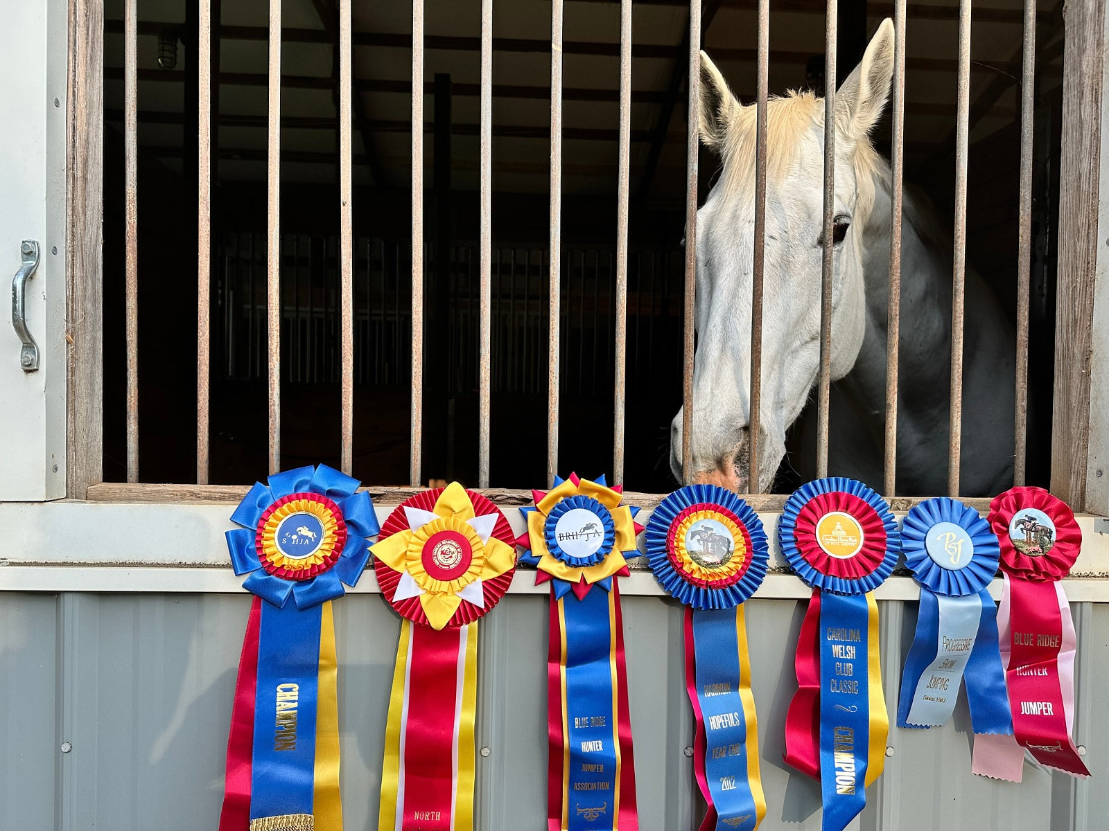 10 Creative Horse Show Ribbon Display Ideas Farm House Tack 10-creative-horse-show-ribbon-display-ideas-farm-house-tack
