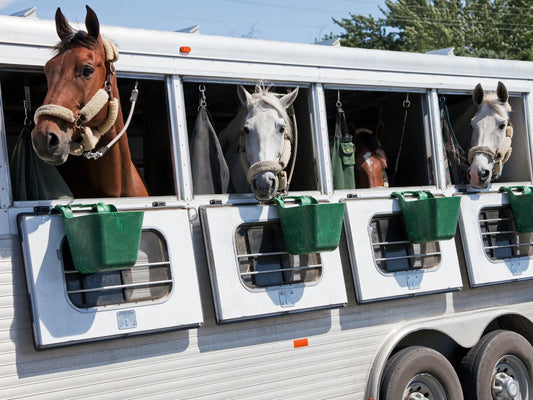 10 Tips To Know When Traveling With Your Horse.