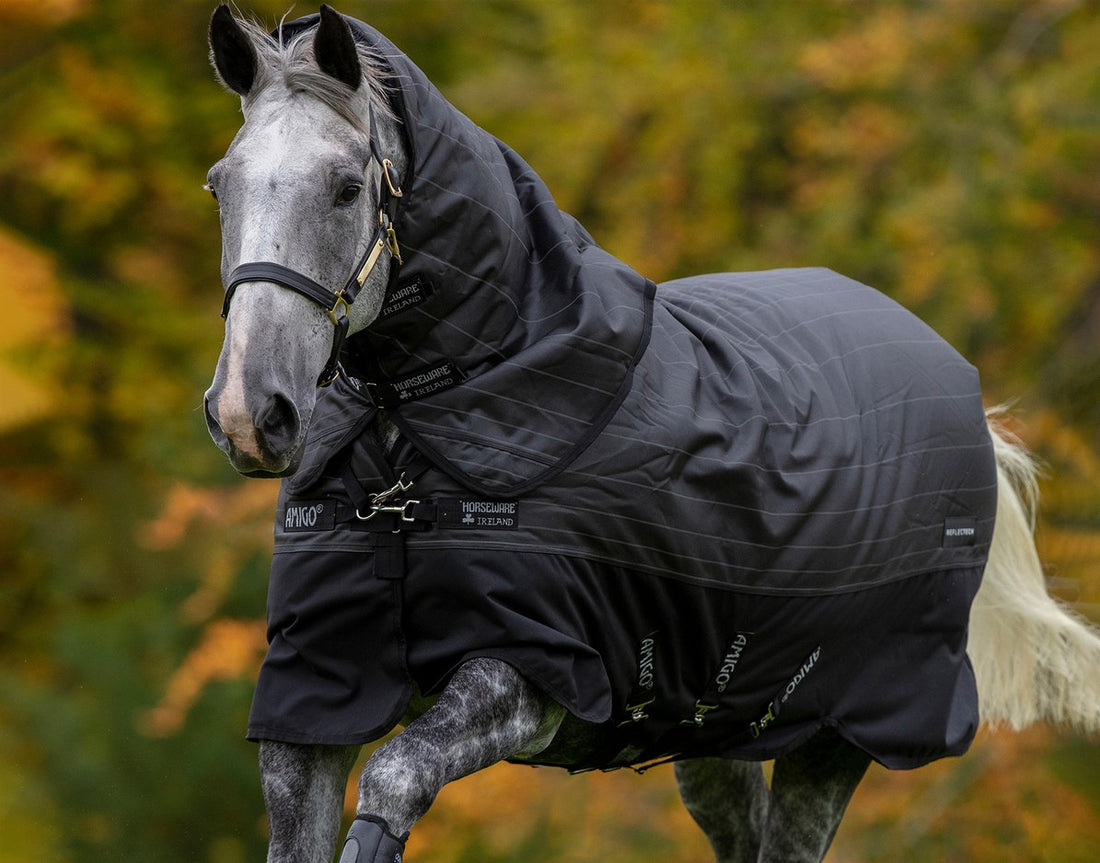 Horseware ireland blanket. How to blanket your horse