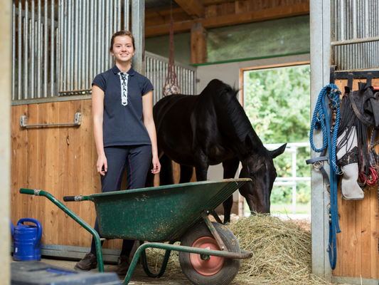 cleaning stalls horse