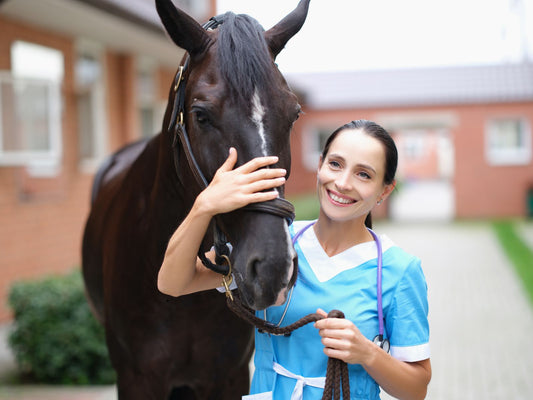 Woman with stethoscope next to a horse