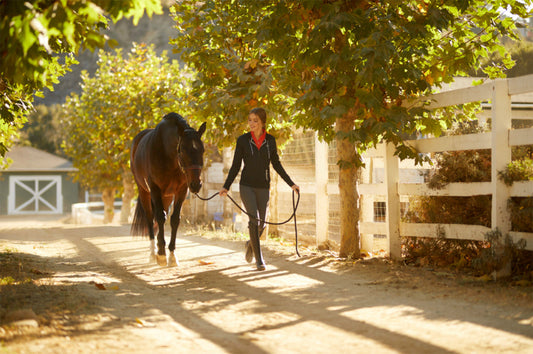 6 Best Ariat Breeches and Tights for Women