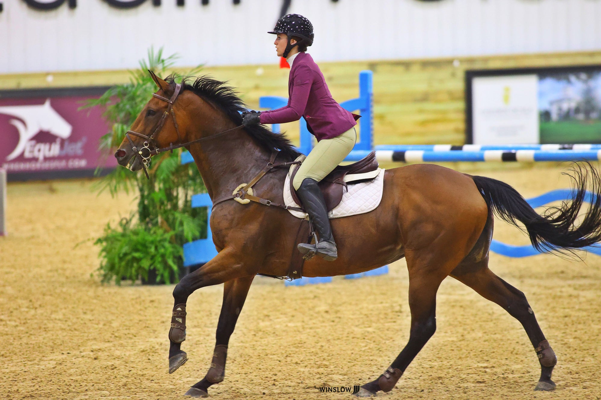 English Horse Riding Boots