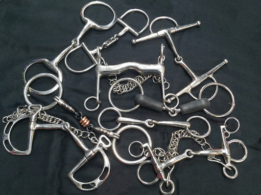 9 Types of Horse Bits & How to Choose the Best One