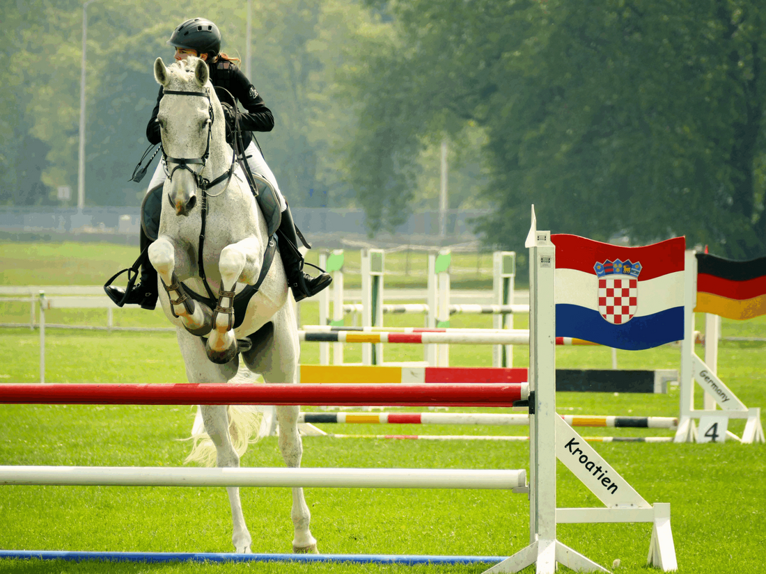 Equestrian Red Flags