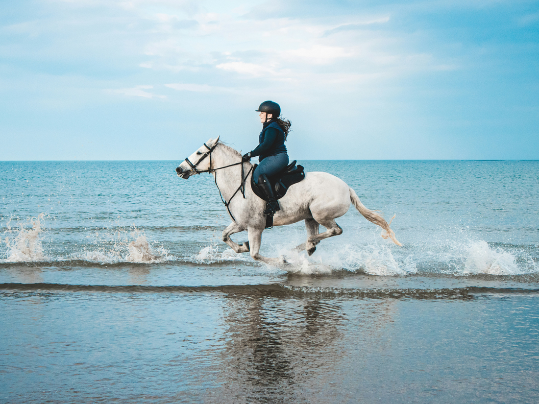 horse and woman riding on water