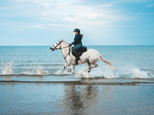 horse and woman riding on water