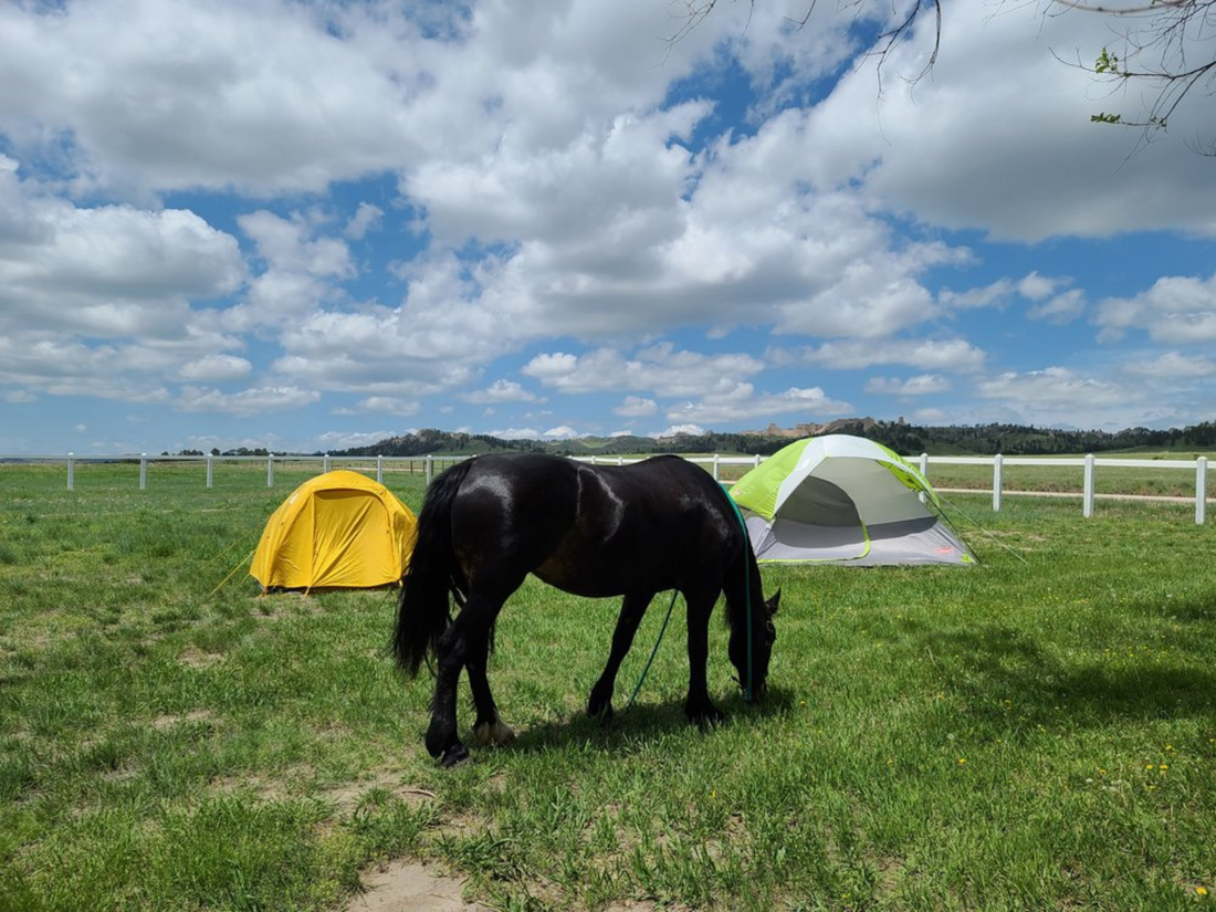 Horse camping