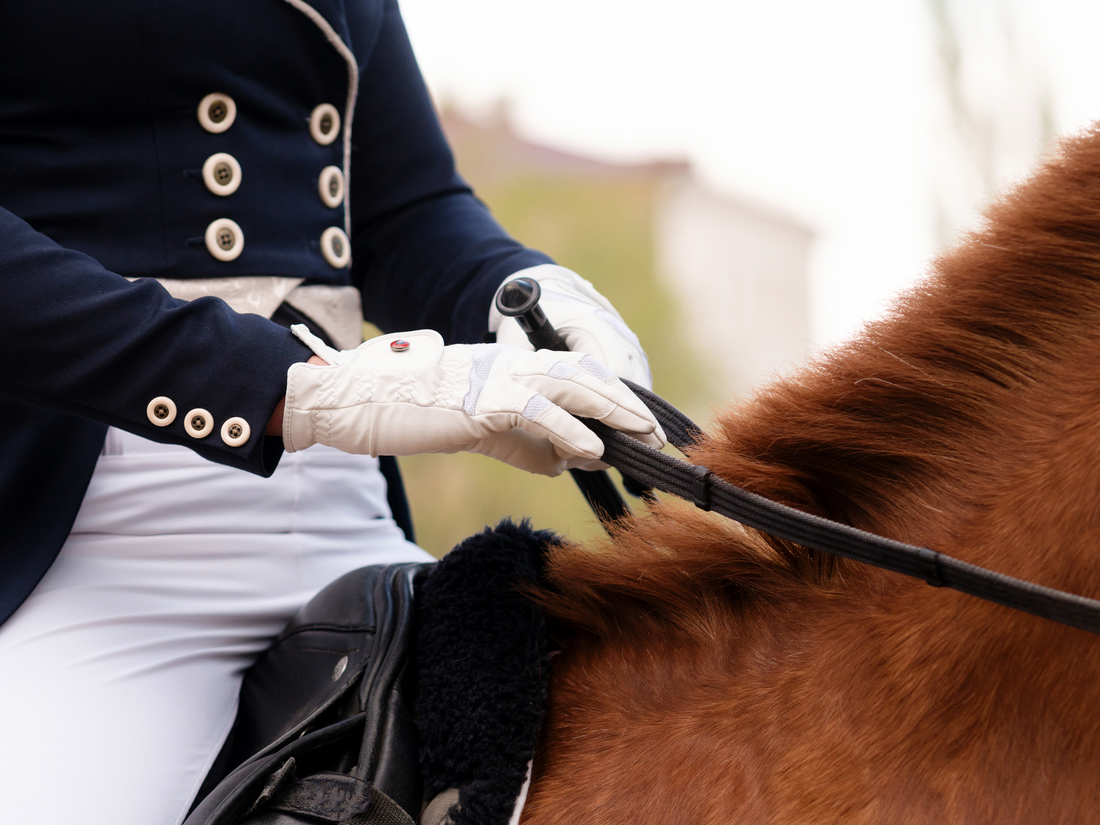 Equestrian gloves riding the horse