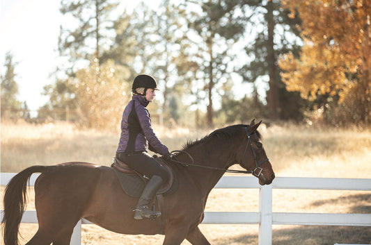 8 Best Winter Riding Breeches