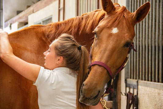 caring for your horse