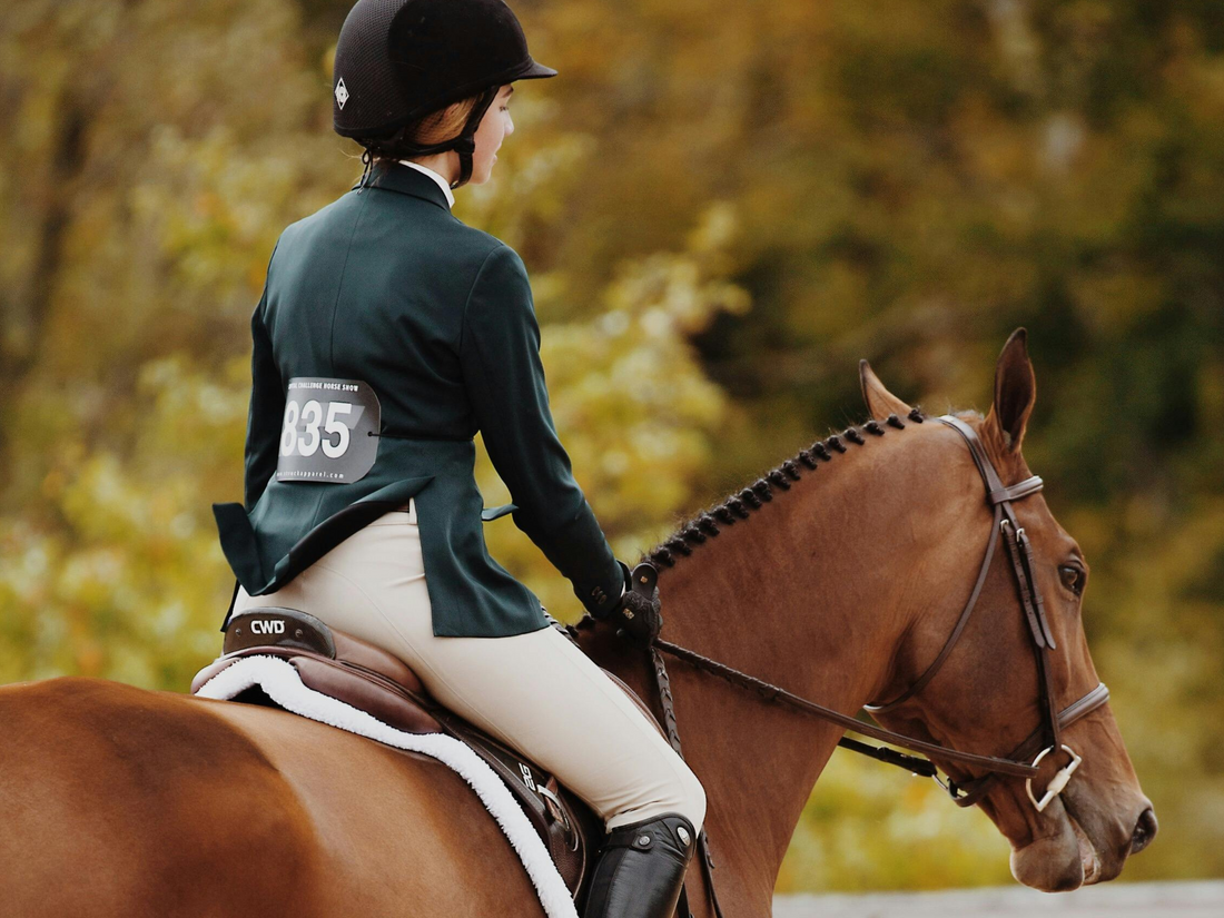 equestrian girl on horse