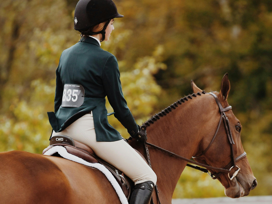equestrian girl on horse