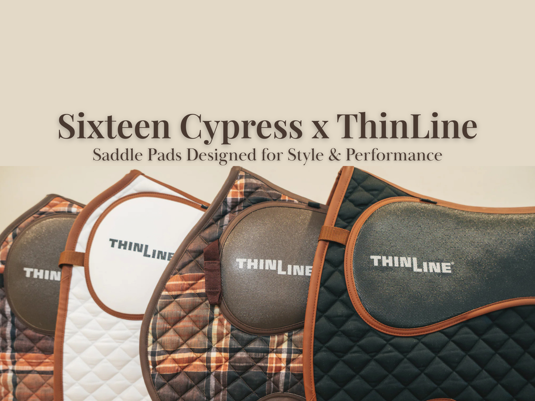 Sixteen Cypress x ThinLine Saddle Pads: Style, Comfort, and Performance Combined