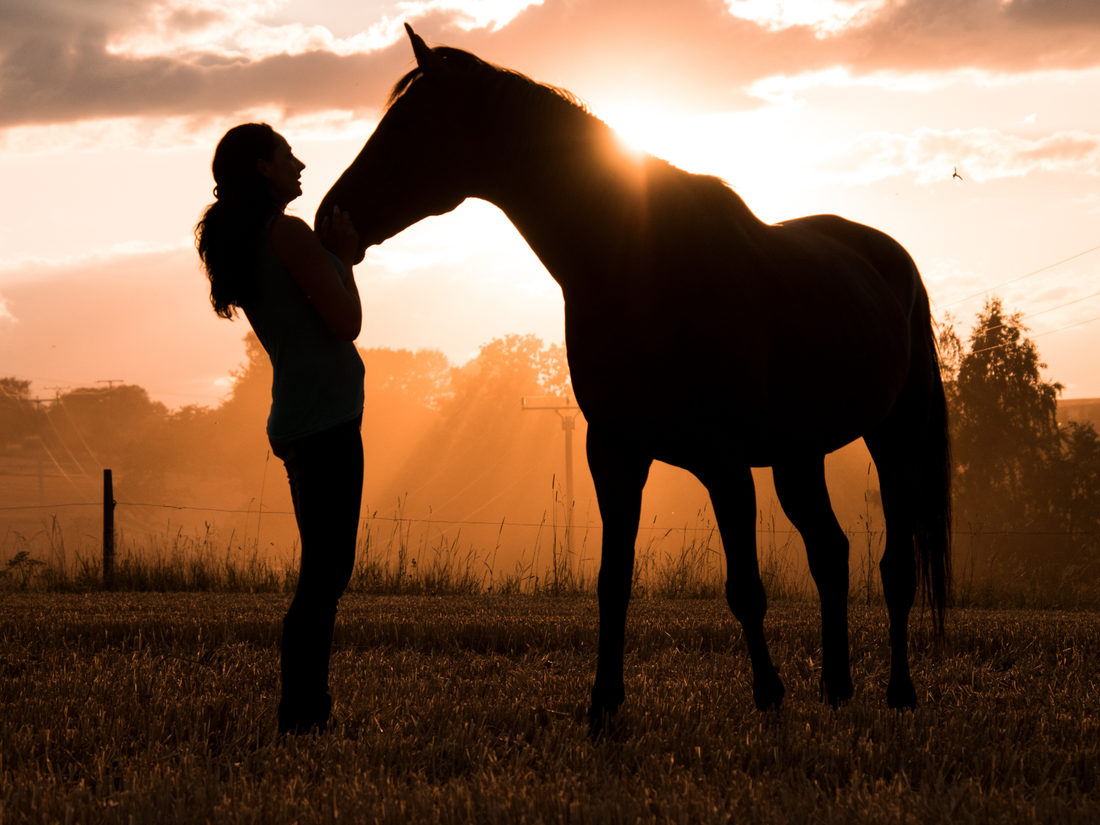 Silhouette of horse and owner at sunset representing the emotional bond between horses and riders