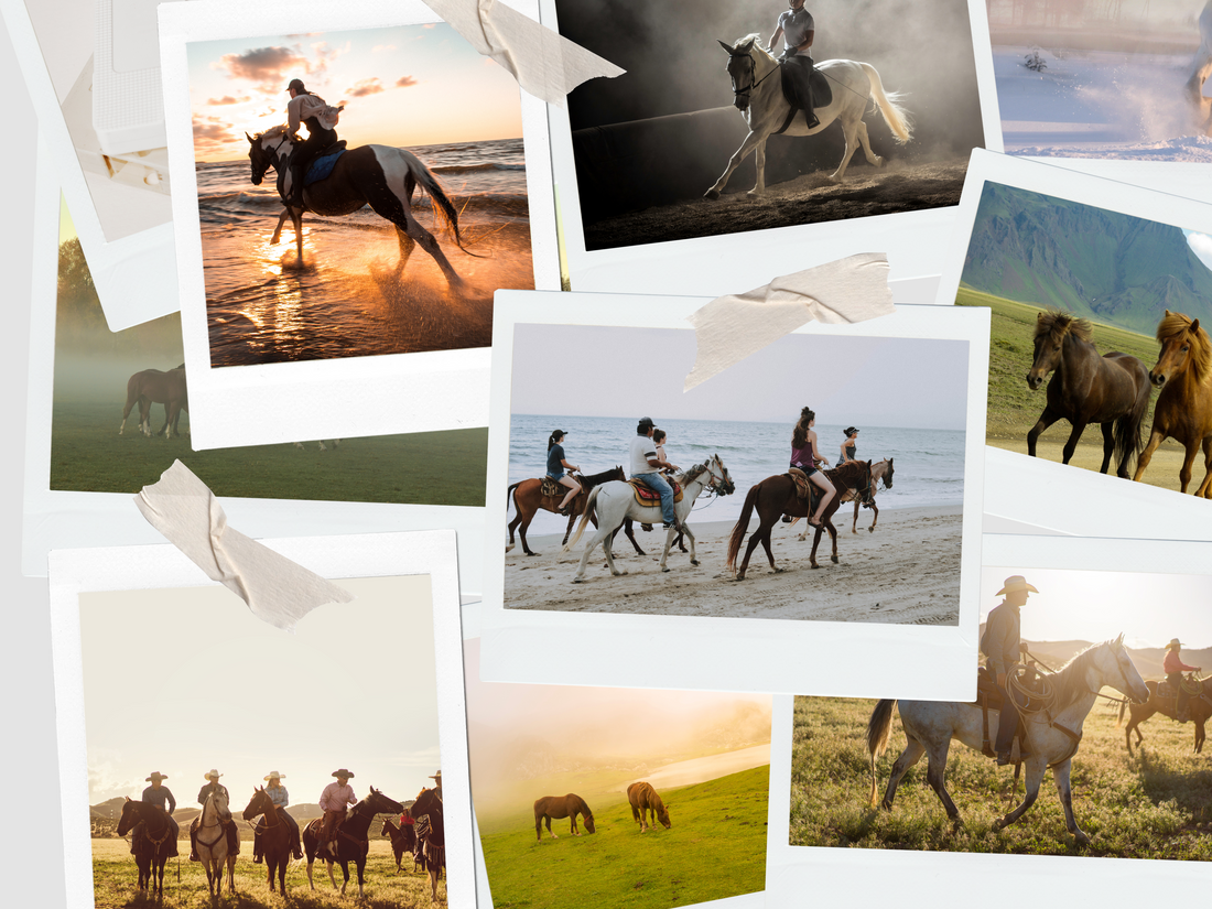 Collage of different horse pictures