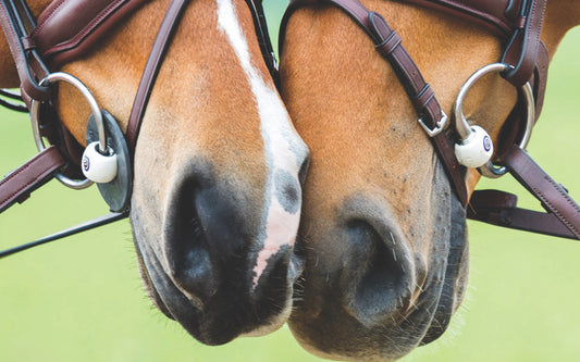 Trust Bits, Beris Bits, Poponcini, and Jump’in: European Horse Bits Explained